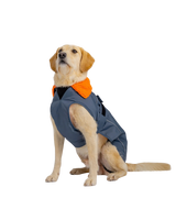 Dog Dryrobe in Dark Grey & Orange