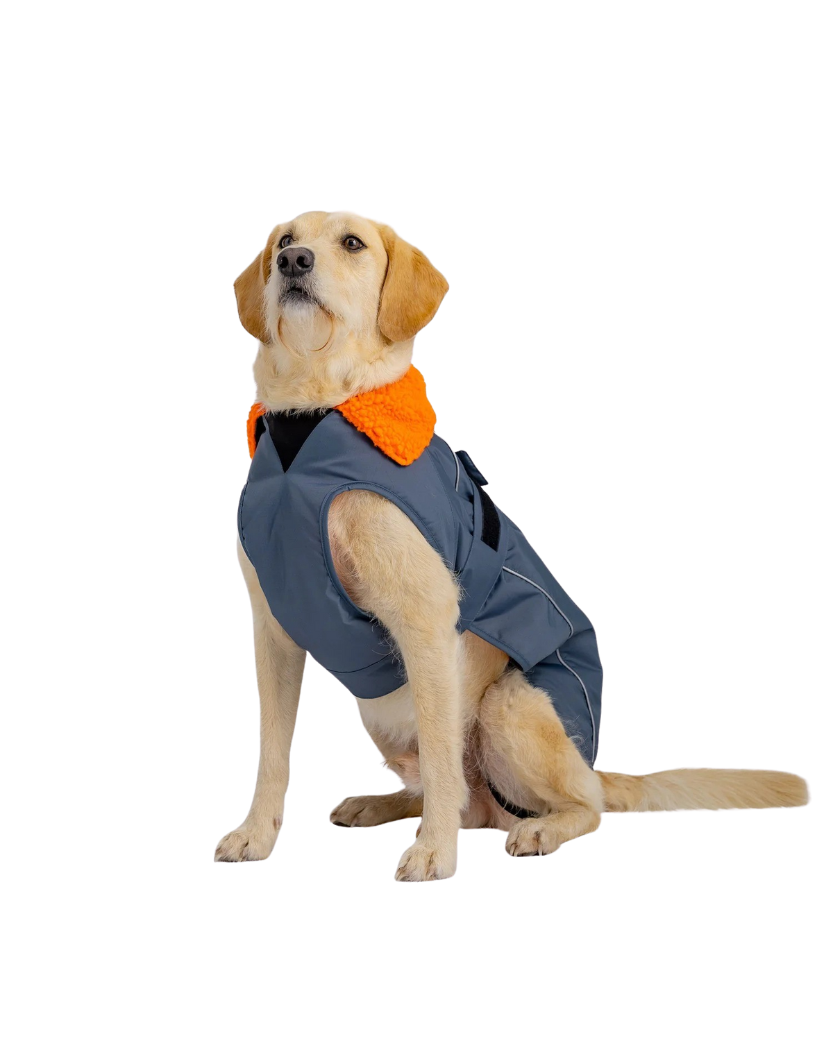 Dog Dryrobe in Dark Grey & Orange