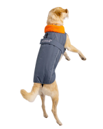Dog Dryrobe in Dark Grey & Orange