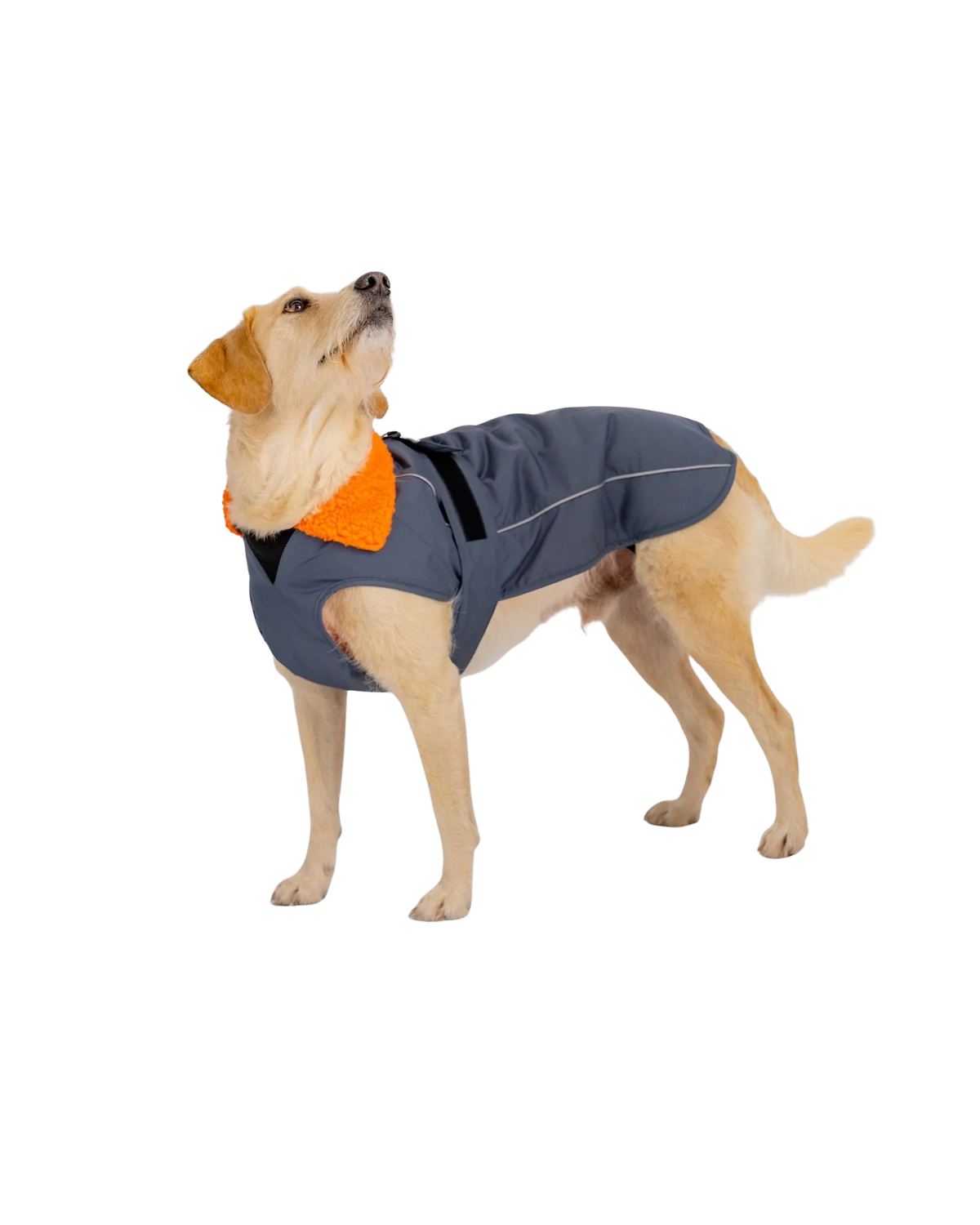 Dog Dryrobe in Dark Grey & Orange