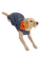 Dog Dryrobe in Dark Grey & Orange