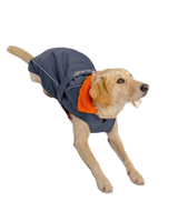 Dog Dryrobe in Dark Grey & Orange