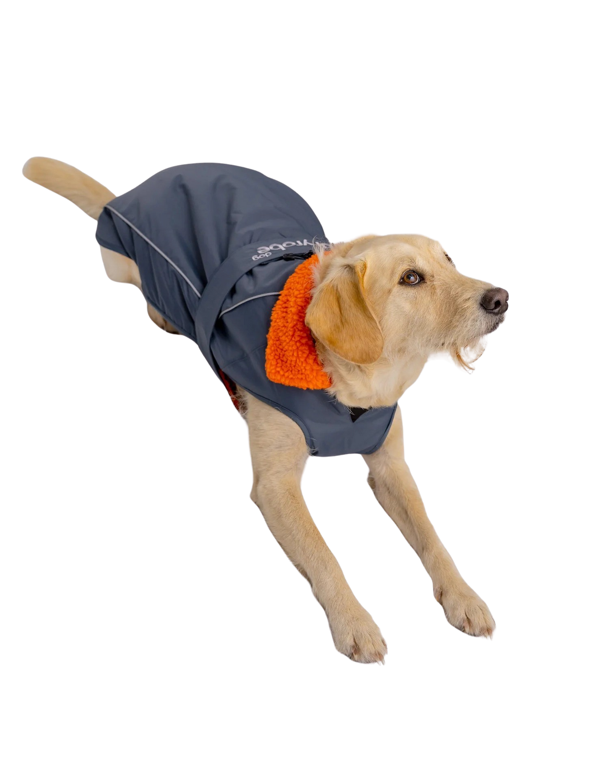 Dog Dryrobe in Dark Grey & Orange
