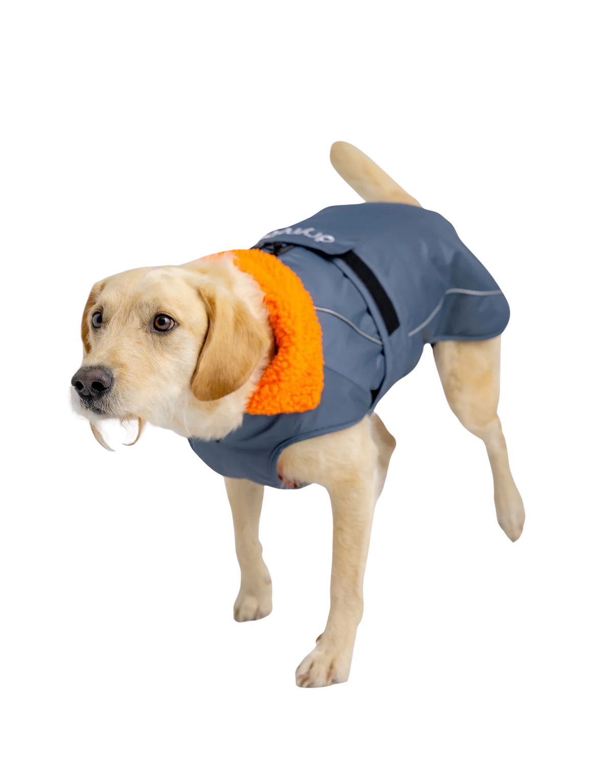 Dog Dryrobe in Dark Grey & Orange