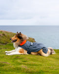 Dog Dryrobe in Dark Grey & Orange
