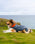 Dog Dryrobe in Dark Grey & Orange