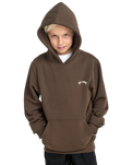 The Billabong Boys Boys Arch Hoodie in Dark Cedar