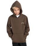 The Billabong Boys Boys Arch Hoodie in Dark Cedar
