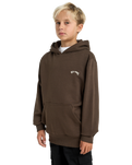 The Billabong Boys Boys Arch Hoodie in Dark Cedar