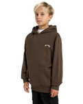 The Billabong Boys Boys Arch Hoodie in Dark Cedar