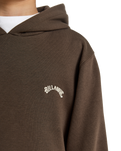 The Billabong Boys Boys Arch Hoodie in Dark Cedar