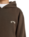 The Billabong Boys Boys Arch Hoodie in Dark Cedar