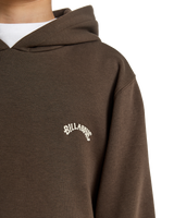 The Billabong Boys Boys Arch Hoodie in Dark Cedar
