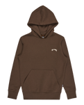 The Billabong Boys Boys Arch Hoodie in Dark Cedar