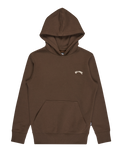 The Billabong Boys Boys Arch Hoodie in Dark Cedar