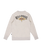 The Billabong Boys Boys Foundation Sweatshirt in Light Grey Heather