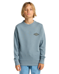 The Billabong Boys Boys Foundation Sweatshirt in Washed Blue
