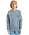 The Billabong Boys Boys Foundation Sweatshirt in Washed Blue
