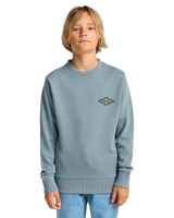 The Billabong Boys Boys Foundation Sweatshirt in Washed Blue