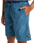 The Billabong Boys Boys Larry Cord Shorts in Real Teal