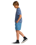 The Billabong Boys Boys Larry Cord Shorts in Real Teal