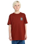 The Billabong Boys Boys Stamp T-Shirt in Brick