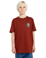 The Billabong Boys Boys Stamp T-Shirt in Brick