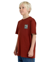 The Billabong Boys Boys Stamp T-Shirt in Brick