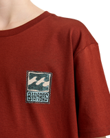 The Billabong Boys Boys Stamp T-Shirt in Brick