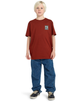 The Billabong Boys Boys Stamp T-Shirt in Brick
