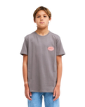 The Billabong Boys Boys Burn Out T-Shirt in Pewter