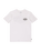 The Billabong Boys Boys Adventure Division Scenic Arch T-Shirt in White