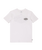 The Billabong Boys Boys Adventure Division Scenic Arch T-Shirt in White