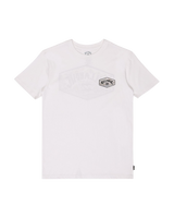 The Billabong Boys Boys Adventure Division Scenic Arch T-Shirt in White