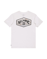 The Billabong Boys Boys Adventure Division Scenic Arch T-Shirt in White