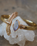 Elder Bird Moonstone Cuff in Gold Plated Brass