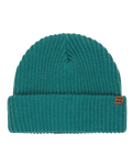 The Billabong Womens Alta Rib Beanie in Evergreen