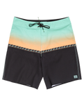 The Billabong Mens Fifty50 Pro Boardshorts in Black