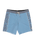 The Billabong Mens Ty Williams Boardshorts in Multi