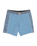 The Billabong Mens Ty Williams Boardshorts in Multi
