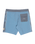 The Billabong Mens Ty Williams Boardshorts in Multi