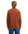 The Billabong Mens Arch Sweatshirt in Tortoise Shell