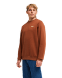 The Billabong Mens Arch Sweatshirt in Tortoise Shell