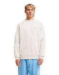 The Billabong Mens Ty Williams Sun Rays Sweatshirt in Oatmeal