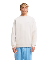 The Billabong Mens Ty Williams Sun Rays Sweatshirt in Oatmeal