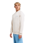 The Billabong Mens Ty Williams Sun Rays Sweatshirt in Oatmeal