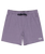 The Billabong Mens Every Other Day Layback Volley Shorts in Lavender
