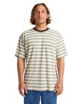 The Billabong Mens Baxter T-Shirt in Sand