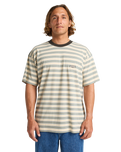The Billabong Mens Baxter T-Shirt in Sand