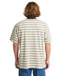 The Billabong Mens Baxter T-Shirt in Sand